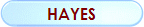 http://www.hayes-associates.co.nz